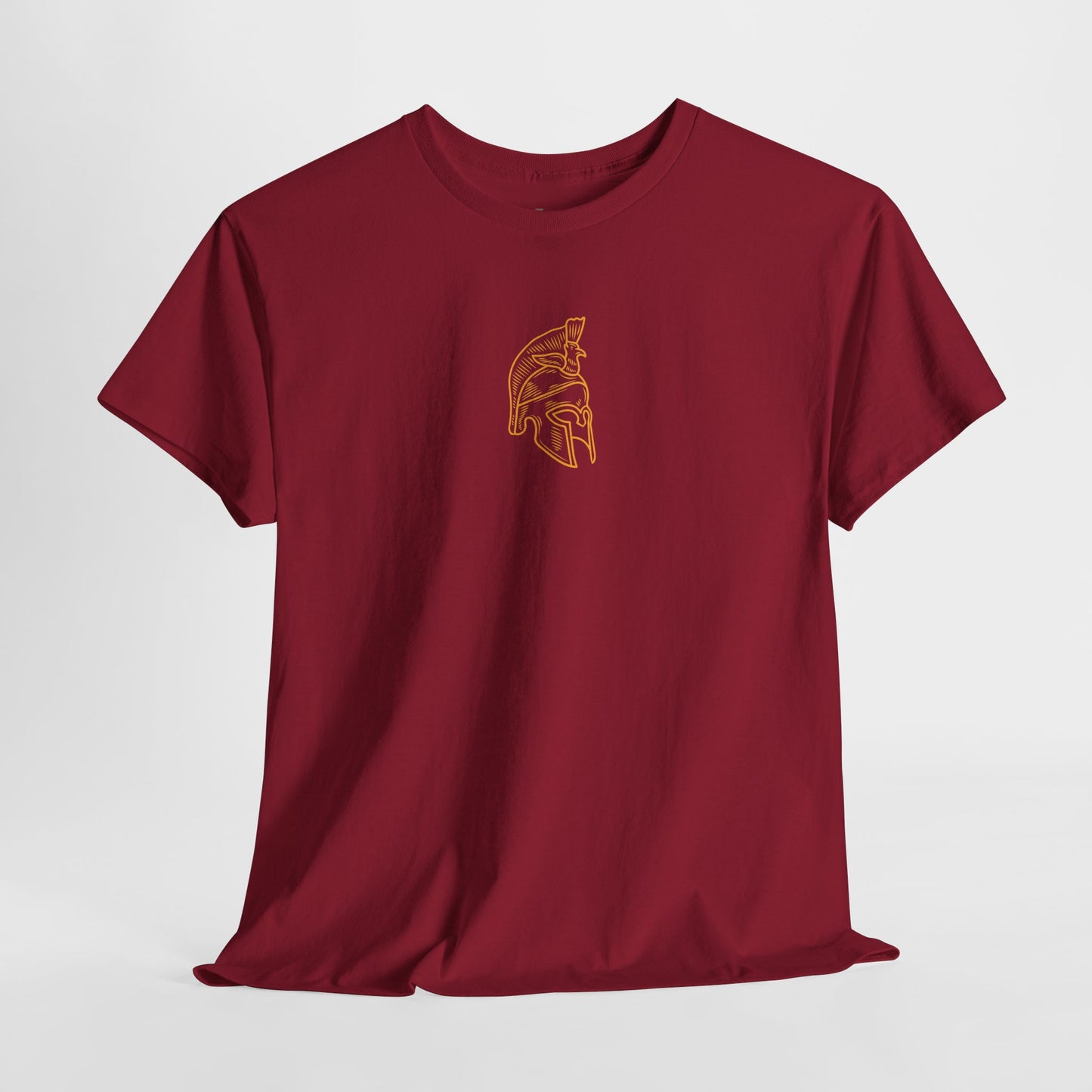 Spartan Helmet Antique Rome Line Art Design Tee, Personalized Warrior T-shirt